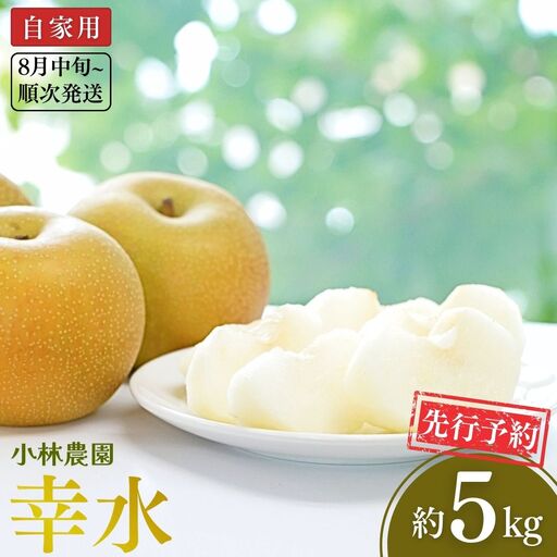 先行予約 和梨 幸水 自家用 約5kg [8月中旬から発送予定]令和7年度 新潟県 三条市産 梨 [小林農園]【010P078】