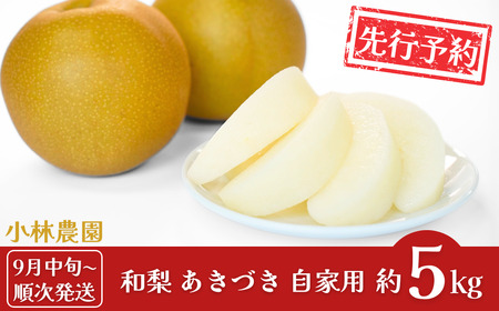 先行予約 和梨 あきづき 自家用 約5kg [9月中旬から発送予定] 令和8年度 新潟県 三条市産 梨 小林農園