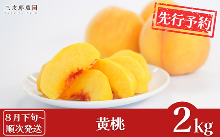 黄桃 先行予約 黄桃 約2kg(黄桃 6玉入り)令和7年産 黄桃 贈答用 新潟県三条市産 黄桃 [三次郎農園]