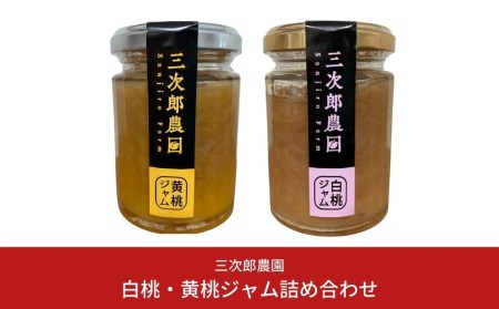 �����E�����W�����l�ߍ��킹�y013S016�z