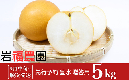 先行予約 豊水 先行予約 和梨 豊水 5kg [9月中旬〜順次発送予定] 新潟県産 豊水 梨 [岩福農園]