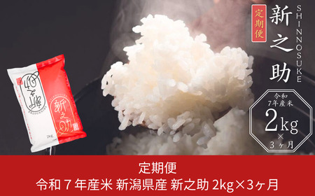 [定期便 2kg×3か月] 新潟県産 新之助 計6kg 3か月連続でお届け 令和7年産 [JAえちご中越]