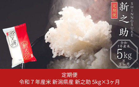 [ 5kg×3] VY VV v15kg 3Ał͂ ߘa7NY [JAz] y030S020z