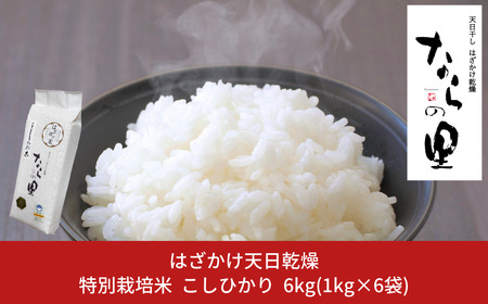 V VYRVqJ 6kg (1kg×6) ʍ͔| ߘa7NY ̂Ȃ̂͂|i͂j^pbN  [_g@lȂ]y020P096z