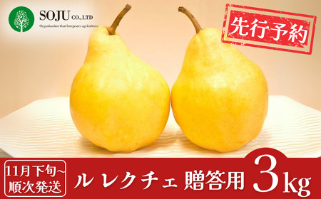 s\  N`F 3kg [11{甭\] m JGAPFؔ_ V OsY  ̐m   [OʎƏWc]y016P026z