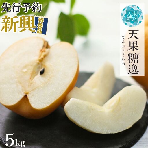 2026年産先行予約 和梨 新興 特秀品 約5kg 令和8年度 糖度13度以上を厳選