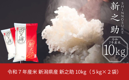 新潟県産 新之助 10kg (5kg×2袋) 令和7年産 しんのすけ [JAえちご中越] 【020S024】