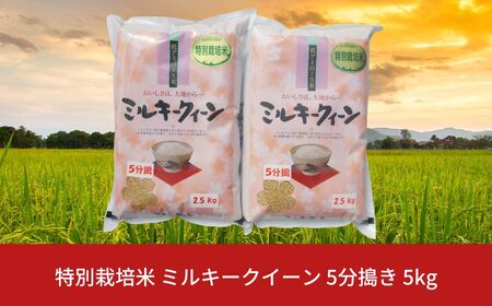 [先行予約]特別栽培米 ミルキークイーン 5分搗き 5kg 新潟県産 令和7年産 [佐藤農産有機センター]