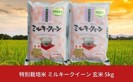 特別栽培米 ミルキークイーン 玄米 5kg 新潟県産 令和7年産 [佐藤農産