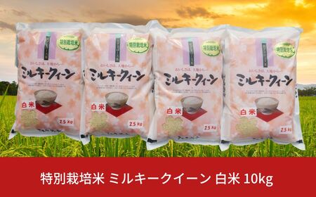 ʍ͔| ~L[NC[  10kg VY ߘa7NY [_YL@Z^[]y018S019z