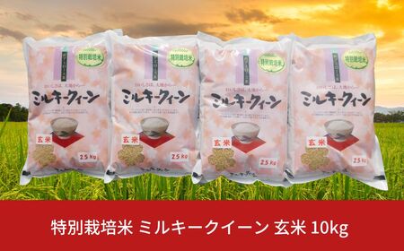 ʍ͔| ~L[NC[  10kg VY ߘa7NY [_YL@Z^[]y017S019z