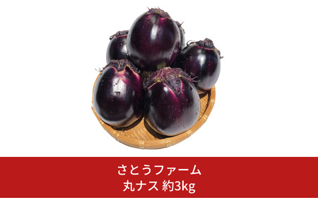 ナス(茄子) 約3kg 丸ナス 令和7年産ナス 灰汁が少ないナス 甘味があるナス 新潟県 三条市産ナス [さとうファーム]