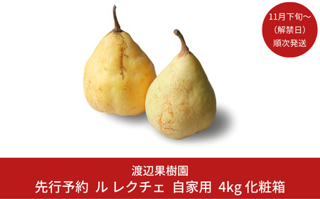 先行予約 ル レクチェ 自家用 4kg（10~14玉）[11月下旬から発送予定]  西洋梨 ル レクチエ 洋梨 化粧箱 洋ナシ ル・レクチェ [渡辺果樹園] 【018S021】