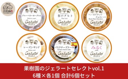 果樹園のジェラートセレクトvol.1 [6種×各1個] 合計6個セット ジェラート詰合せ アイス詰合せ [田沢農園] 