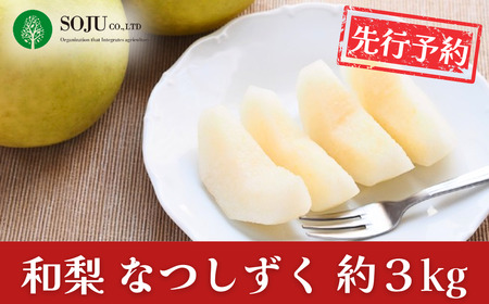 先行予約 和梨 なつしずく 約3kg 令和8年度 新潟県 三条市産 [三条果樹専門家集団]