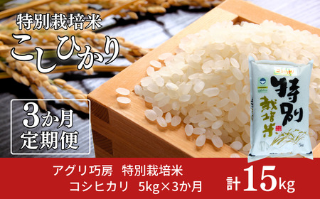 [5kg×3] ʍ͔| RVqJ5kg ߘa7NY VF VOsY Ђ 3Ał͂ AOI[y027S014z
