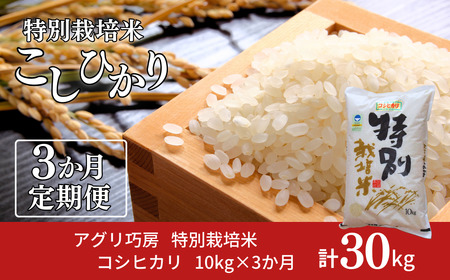 [10kg×3] ʍ͔| RVqJ10kg ߘa7NY VF VOsY Ђ 3Ał͂ AOI[y053S002z