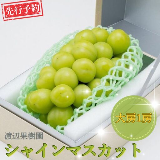 先行予約 大房 シャインマスカット 1房 (約570g) 令和8年度 贈答用 渡辺果樹園