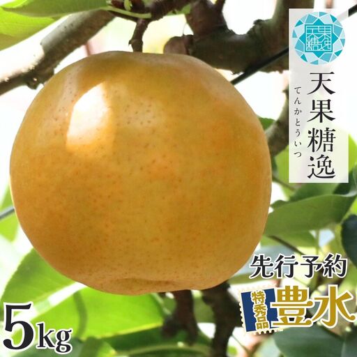 先行予約 和梨 豊水 特秀品 約5kg 糖度13度以上を厳選 令和8年度 新潟県産 天果糖逸 JAえちご中越