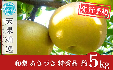 先行予約 和梨 あきづき 特秀品 約5kg 糖度13度以上を厳選 令和8年度 新潟県産 天果糖逸 JAえちご中越