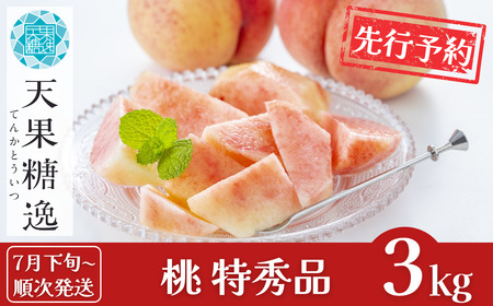 [2025年先行予約]新潟 特秀品 桃 約3kg 大玉8玉〜12玉 もも 新潟桃 桃 果物 フルーツ 旬 大玉 新潟 新潟県三条市