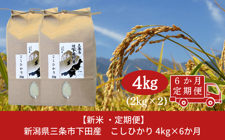 s\ [4kg×6] VY Ђ 4kg(2kg×2)×6 V Os cY RVqJ   y060S006z