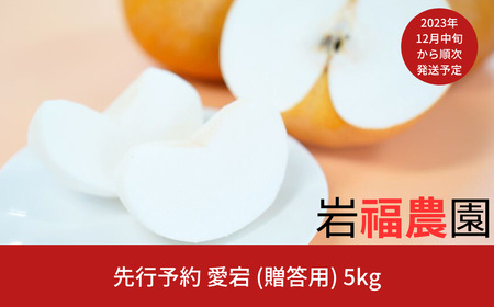 先行予約 新潟県産 和梨 愛宕 5kg [岩福農園] 梨