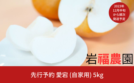 先行予約 和梨 愛宕 自家用 5kg 訳アリ 新潟県産 梨 [岩福農園] 
