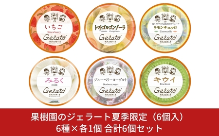果樹園のジェラート夏季限定(6個入) [6種×各1個] 合計6個セット ジェラート詰合せ アイス詰合せ [田沢農園] 