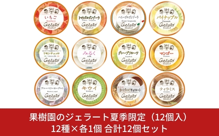 果樹園のジェラート夏季限定(12個入) [12種×各1個] 合計12個セット ジェラート詰合せ アイス詰合せ [田沢農園] 
