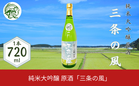 純米大吟醸 原酒「三条の風」 720ml 1本 日本酒 新潟県 数量限定 五百万石を使用 