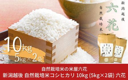 Vz R͔|ăRVqJ 10kgi5kg×2܁jʌ Ђ SȃRVqJ VOsYЂ ăRVqJ ʍ͔| L@JASF؃RVqJ ߘa7NY 2025NY