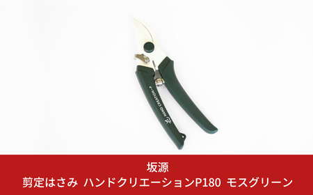 剪定はさみ ハンドクリエーションP180 モスグリーン 花ハサミ 園芸ハサミ 生花用 園芸用品 ガーデニング用品 [坂源] 