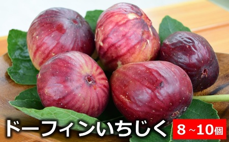 [先行予約・令和7年秋発送]ドーフィン いちじく 8〜10個 [Y0419]