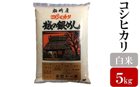 令和7年産新米【五ツ星お米マイスター厳選】コシヒカリ 白米 5kg[Y0560]
