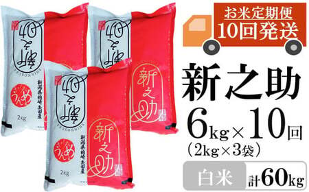 【先行予約・令和7年産新米・10ヶ月定期便】新之助 白米 6kg（2kg×3袋）×10回（計 60kg）ヤタらうんめぇ しんのすけ 水田環境鑑定士在籍[Y0341]