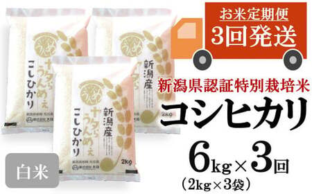 【令和7年産米・3ヶ月定期便】コシヒカリ 白米 6kg（2kg×3袋）×3回（計 18kg）ヤタらうんめぇ お米 新潟県産 小分け 水田環境鑑定士在籍[Y0204]
