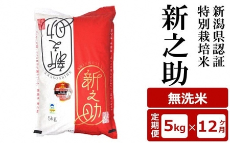 y12ցzVFؓʍ͔| VV  5kg×12iv 60kgjAO[z}[Y0375]