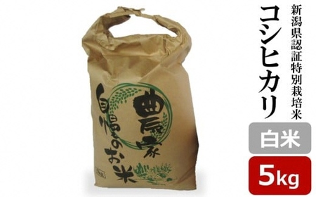 yߘa7NYVāzRVqJ  5kg VFؓʍ͔| V̒Ic rc_[Y0578]