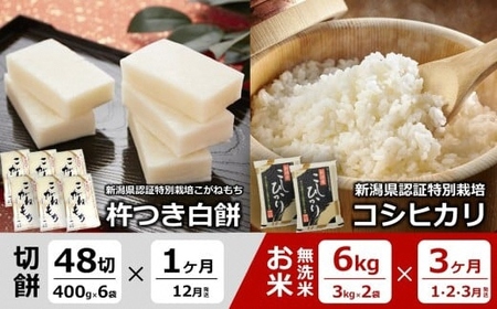 y12`E4ցzn݁i2.4kg×1񔭑jƐ^pbN ʍ͔| RVqJ āi6kg×3񔭑j [Y0579]