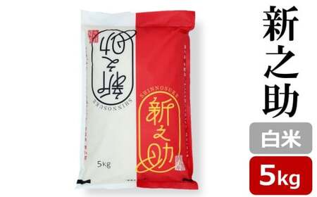 yߘa7NYVāzVV  5kg V ̂[Y0470]