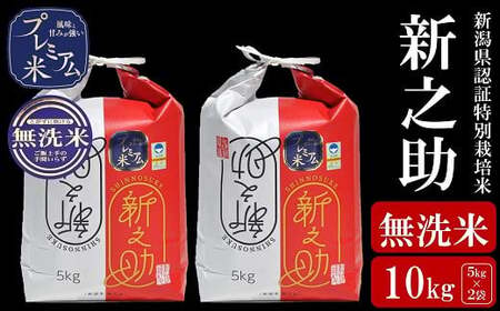 �y�ߘa7�N�Y�V�āz�Ö��̋����v���~�A���� �V�����F�ؓ��ʍ͔|�� �V�V�� ������ 10kg�i5kg×2�܁j�A�O���[�z���}[Y0361]