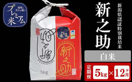 y12ցzÖ̋v~A VFؓʍ͔| VV  5kg×12iv 60kgjAO[z}[Y0378]