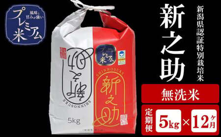 y12ցzÖ̋v~A VFؓʍ͔| VV  5kg×12iv 60kgjAO[z}[Y0379]