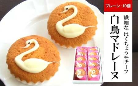 [期間限定]長嶺大池 白鳥マドレーヌ 10個[Y0586]