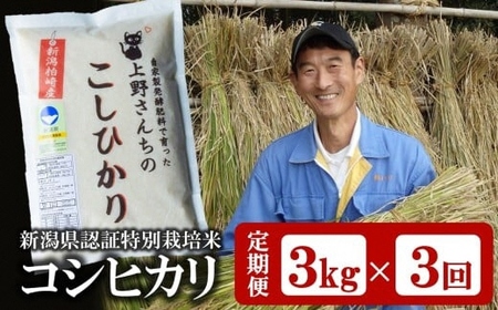 先行予約【令和7年産米・3ヶ月定期便・4月～発送】 コシヒカリ 白米 3kg×3回（計 9kg）上野さんちの有機100％肥料で栽培 [Y0463]