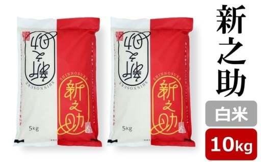 【令和7年産米】新之助 白米 10kg（5kg×2袋） 新潟米 しんのすけ[Y0600]