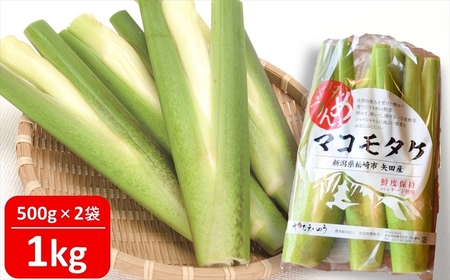 [希少野菜]ヤタらうんめぇ マコモタケ 1kg マコモダケ 柏崎地場特産品 水田環境鑑定士在籍[数量限定][ZA043]