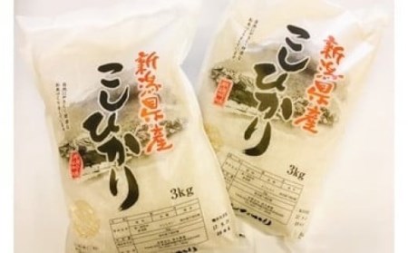[令和5年産米]徳永農園の無洗米コシヒカリ6kg(3kg×2袋)[ZB215]