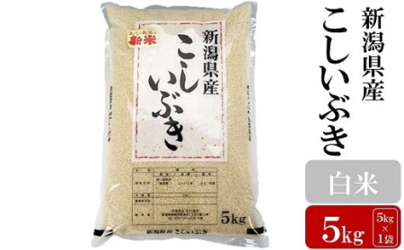 [令和5年産米]お米と共に200年の松村商店直送! こしいぶき 白米 5kg[ZA119]